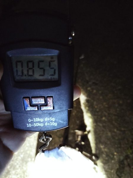 幸先は良かったが…