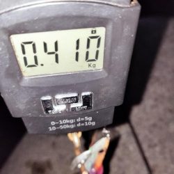 秋イカサイズのみ