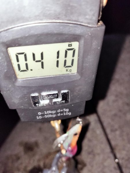 秋イカサイズのみ