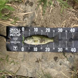 JACKALL FISHING  MEET UP