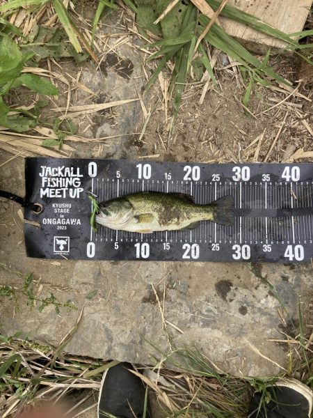 JACKALL FISHING  MEET UP