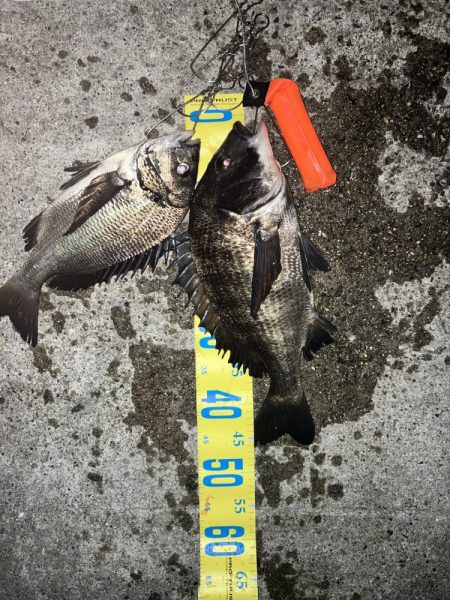 5戦3勝1負1引き分け