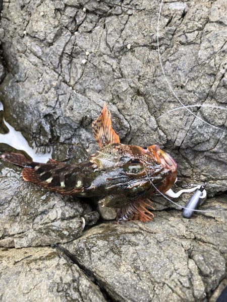 ライトロックフィッシング#1