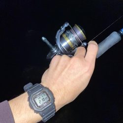 深夜のコウイカ釣り