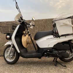 タコ釣り 今季初ヒット