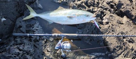 いいサイズが釣れました。