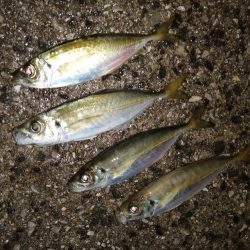 前回よりは良き