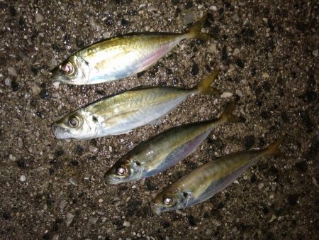 前回よりは良き