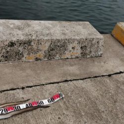 大雨の前にアナゴ！