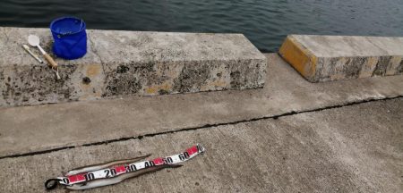 大雨の前にアナゴ！