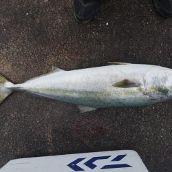 はじめて釣りました