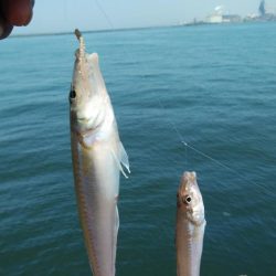 久しぶりの釣行