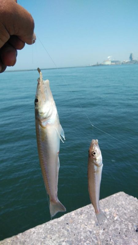 久しぶりの釣行