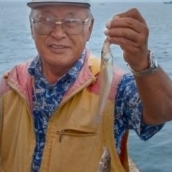 播磨新島のキス情報