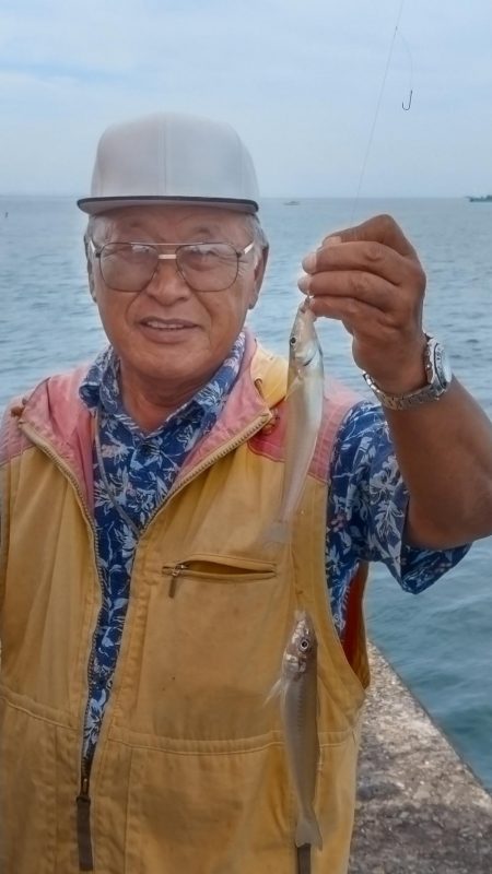 播磨新島のキス情報