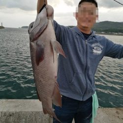 爆風の前にコブダイ！