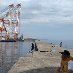 昼まで３時間のキス調査