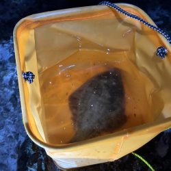 小樽港南防波堤でカレイ!!