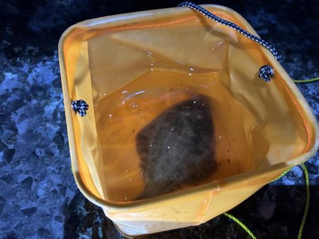 小樽港南防波堤でカレイ!!