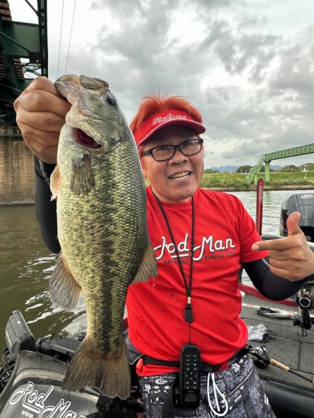 ヤミーで37センチ