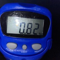 イカヤキソバが食べたくて