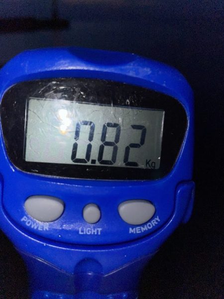 イカヤキソバが食べたくて