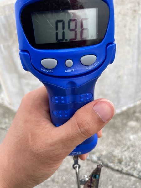 一投目はいつもフレッシュ