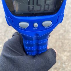 イカハンバーグが食べたくて