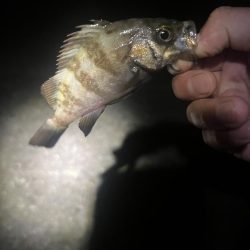 今日も仕事終わりに