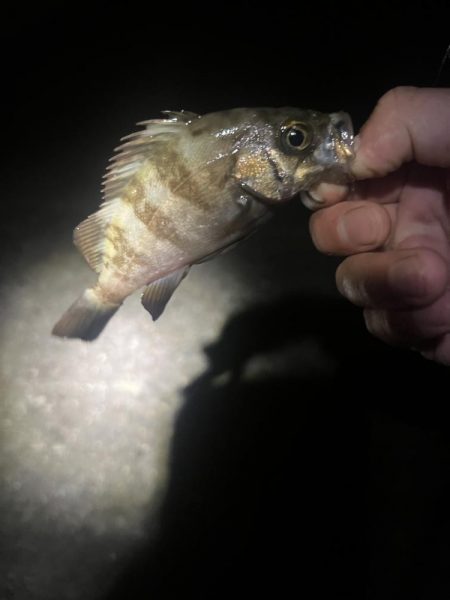 今日も仕事終わりに