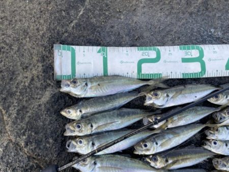 2023 佐渡ヶ島 ライトゲーム 6月24日