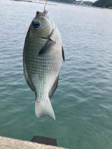 ファミリーフィッシングで7目