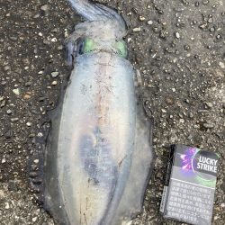 こういう展開だからこそ俺は燃えてくる男だ