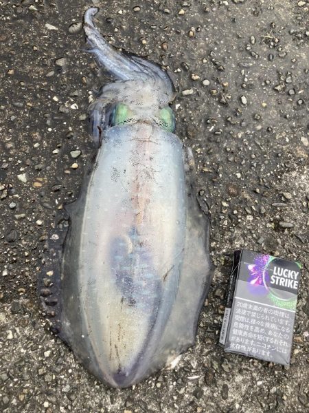 こういう展開だからこそ俺は燃えてくる男だ