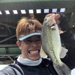 やっぱりジミーシュリンプ！