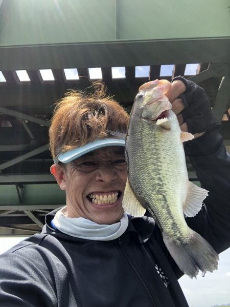 やっぱりジミーシュリンプ！