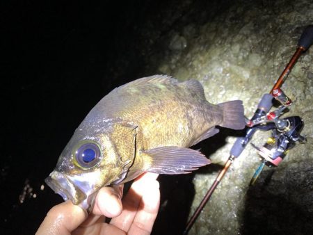 満月大潮でも釣れますね！