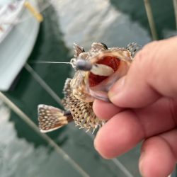 ガッシーは裏切らない！