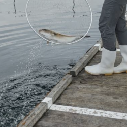 ★★のんびり大物釣り★★