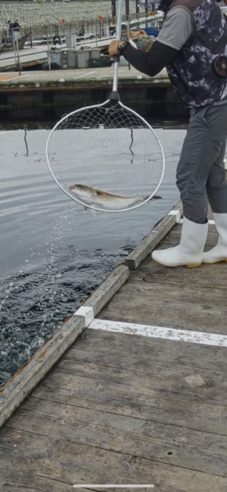 ★★のんびり大物釣り★★