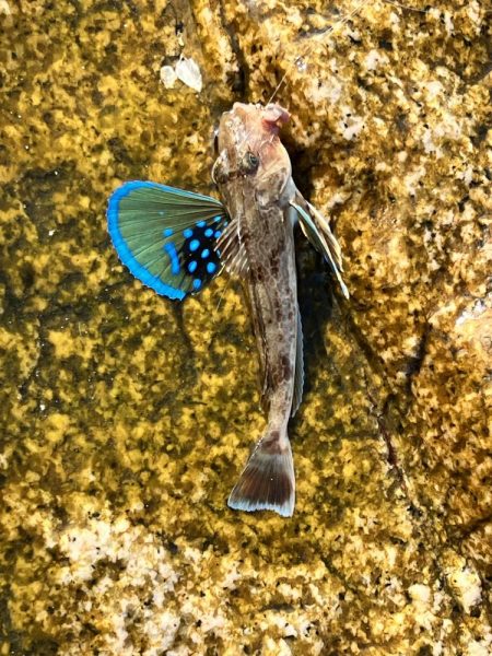 最後の最後のラスト1投で