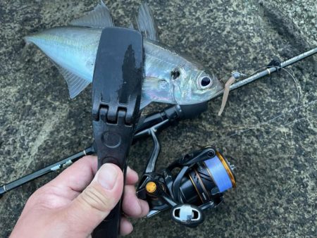 2023 佐渡ヶ島 ライトゲーム 6月10…