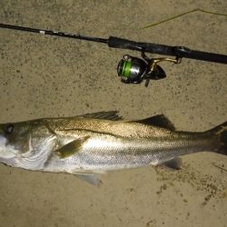 静けさの中での、まさかのHit！