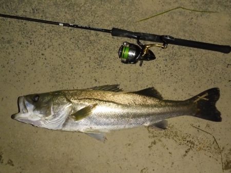 静けさの中での、まさかのHit！