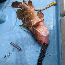 飲ませ最高(サウス)