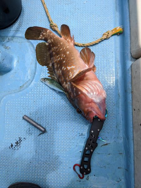 飲ませ最高(サウス)