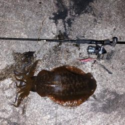 執念の1杯(・x・*)！！