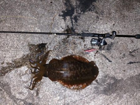 執念の1杯(・x・*)！！