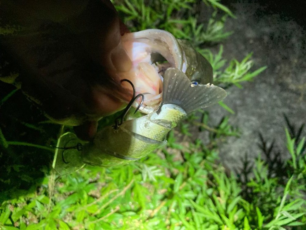 久しぶりにハードルアーで釣れました