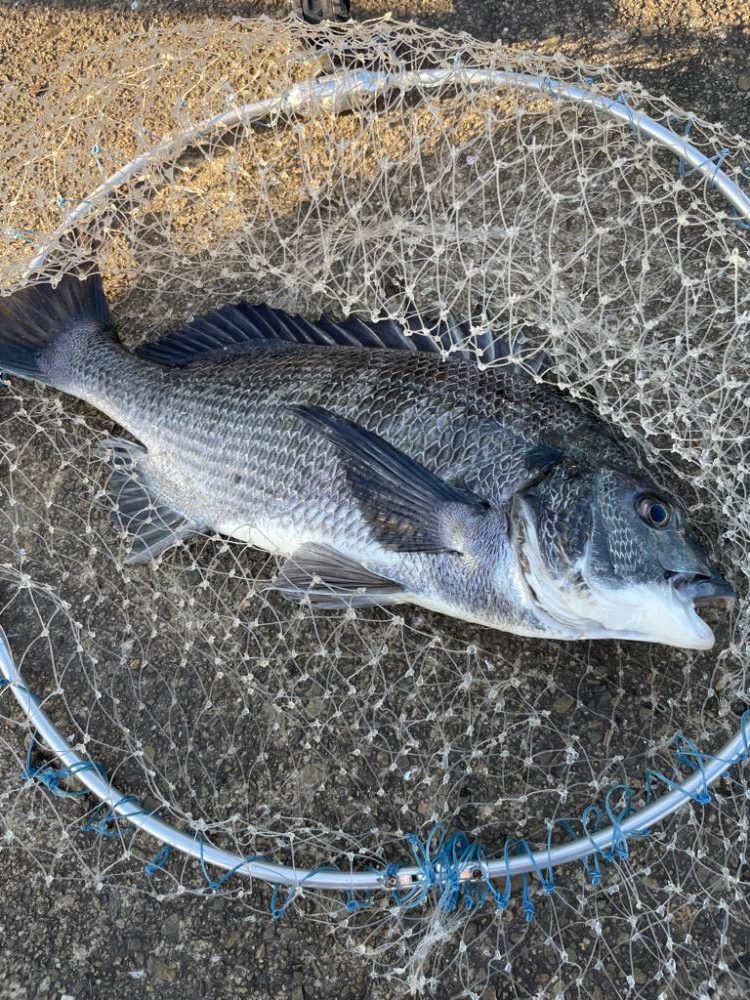 大雨2日後の落とし込み